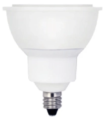 麗光科技股份有限公司